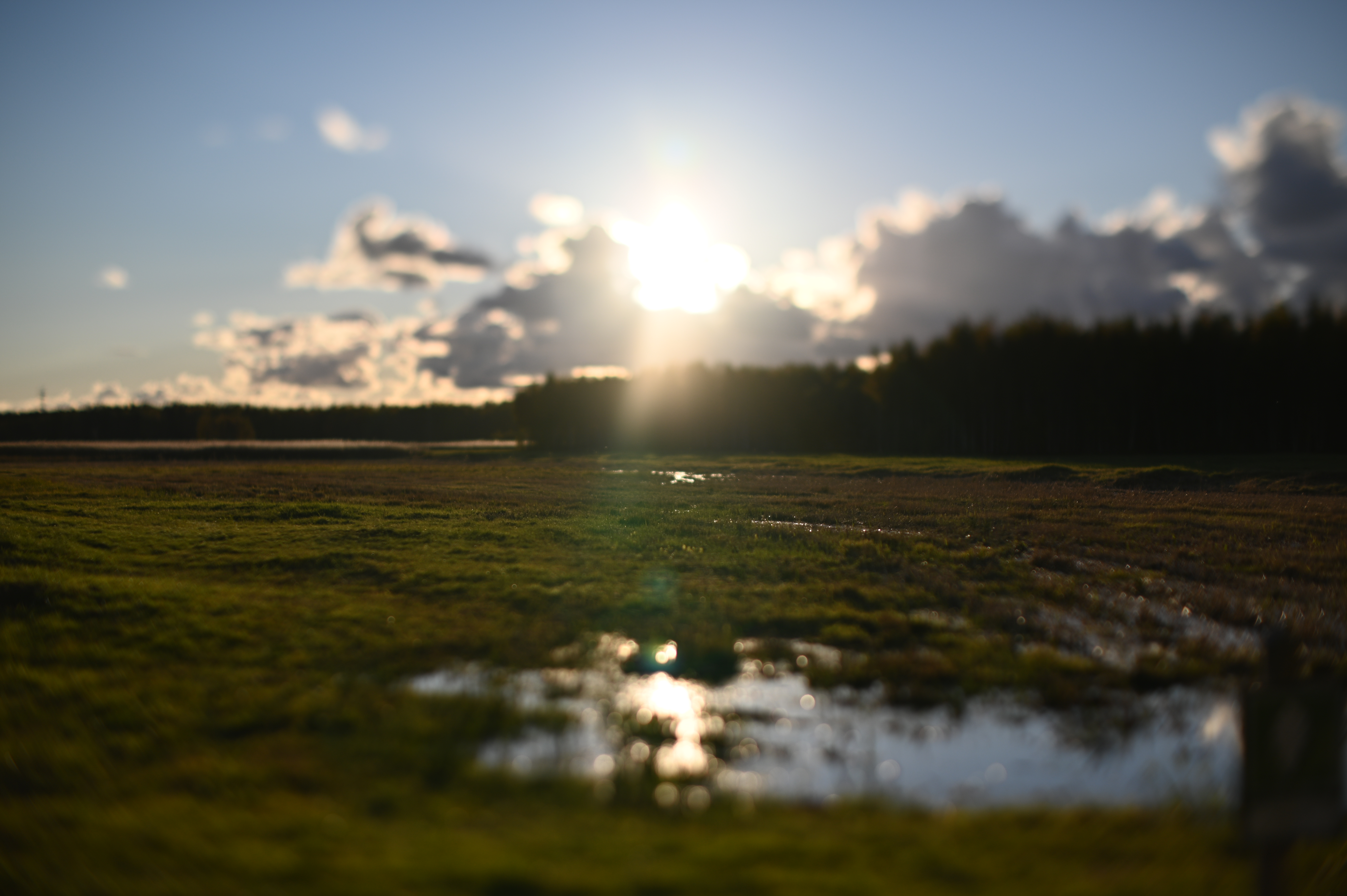 2025/10/18 - walk/DSC_0181.JPG